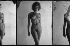 TRIPTYCH1