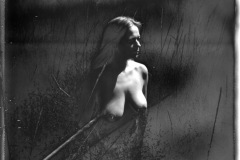 Ida