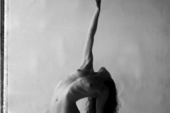 z-steph024