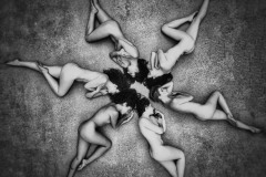 drone6circle003.1