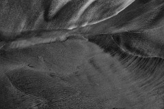 Nautilus