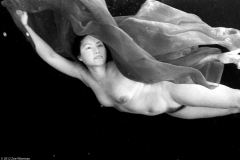z-claudine059