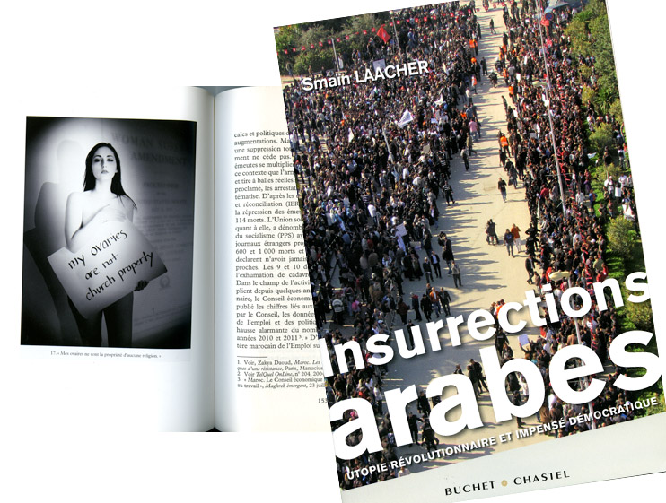 Insurrections Arabes by Smaïn Laacher
